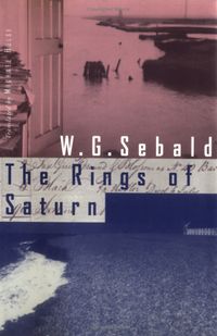 The Rings Of Saturn Quotes