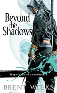 Beyond The Shadows Quotes