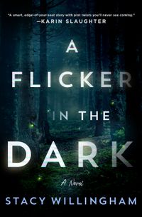 A Flicker In The Dark Quotes