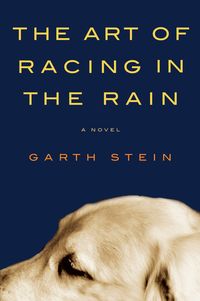The Art Of Racing In The Rain Quotes