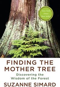 Finding The Mother Tree: Discovering The Wisdom Of The Forest Quotes