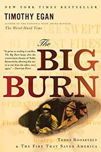 The Big Burn: Teddy Roosevelt And The Fire That Saved America Quotes